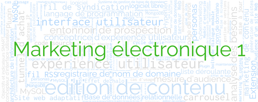 Marketing électronique 1
