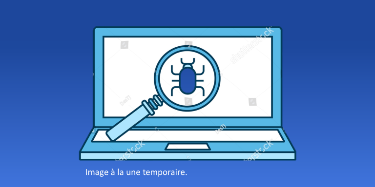 Bogue informatique