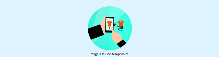 Le comportement du consommateur