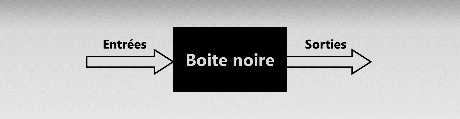 Le modèle de la boite noire
